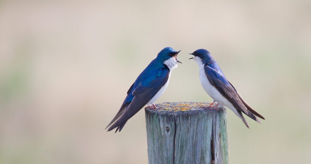 How to react when a colleague encroaches on your work